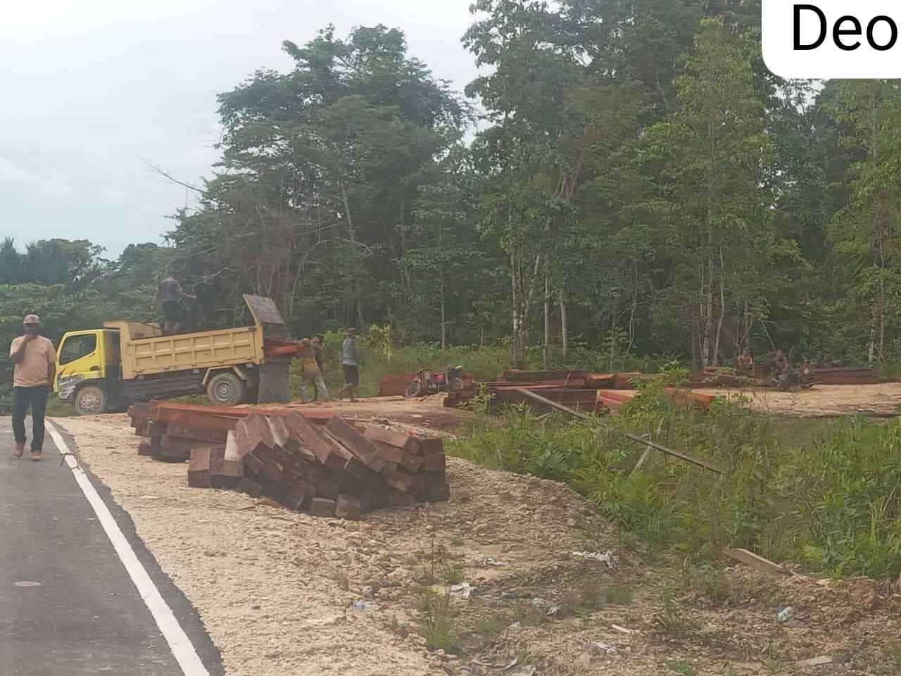 Mantan Napi Mingho Kembali Jalankan Aktivitas Kayu Eksport Ilegal.